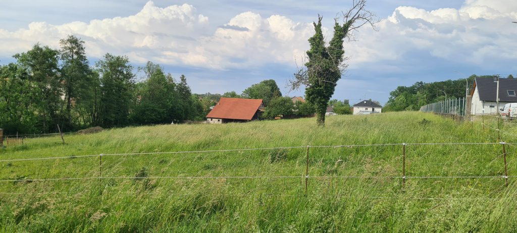TERRAIN DE CONSTRUCTION de 6.90 ares à MAGSTATT LE HAUT proche SIERENTZ