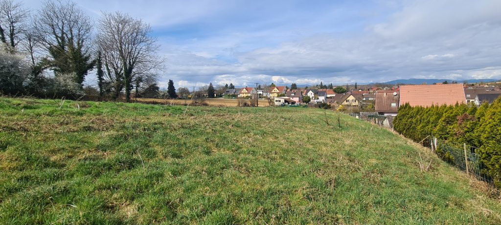 HOCHSTATT terrain de construction de 6.49 ares situation exceptionnelle proche MULHOUSE