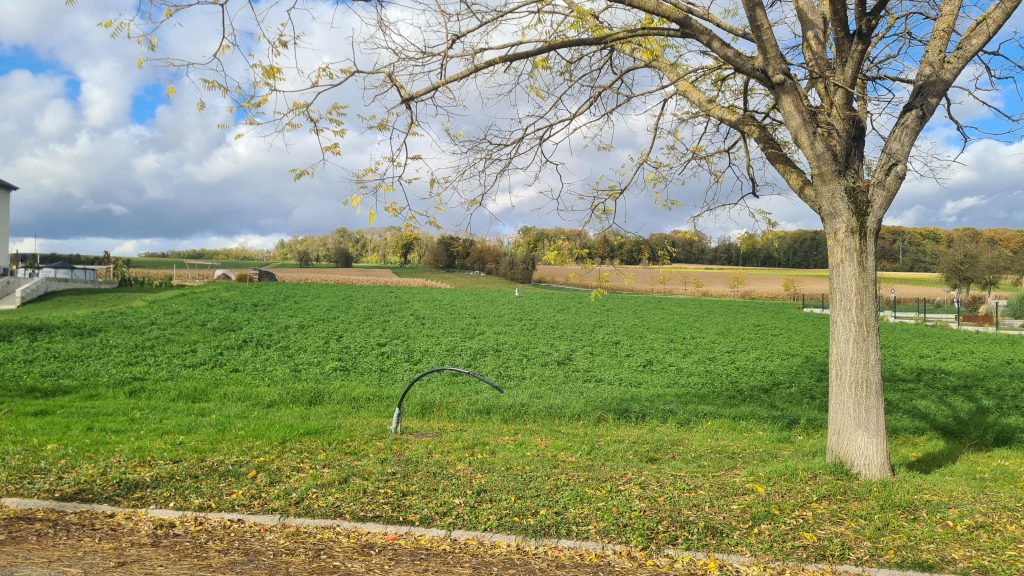 Terrain de construction de 10.50 ares avec vue dégagée à RANTZWILLER proche MULHOUSE et SIERENTZ
