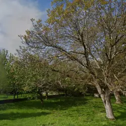 Terrain de 5.80 ares rare à ROSENAU en impasse zone frontalière proche VILLAGE NEUF