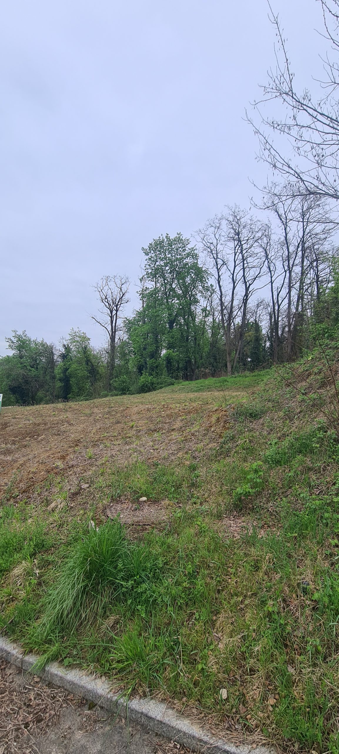 Terrain de construction de 583 m² hauteurs Brunstatt proche Mulhouse