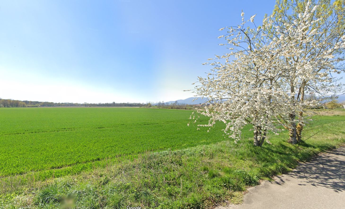 Terrain de construction 514m² Ungersheim proche Ensisheim